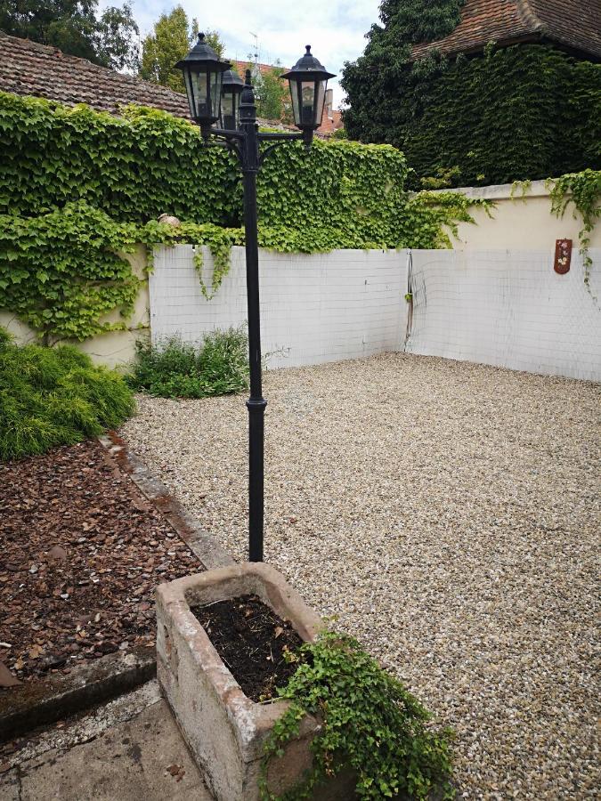 Appart 4 Pers Design Et Cosy Avec Jardin Au Coeur De Sélestat Exteriér fotografie