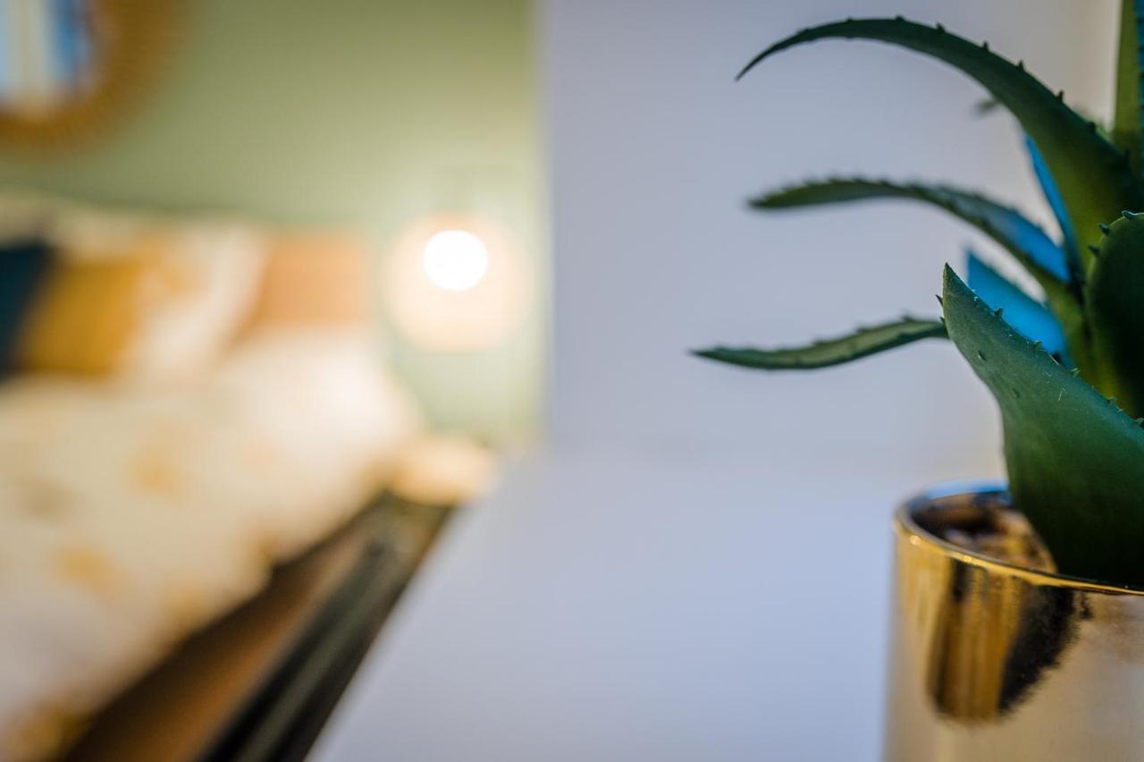 Appart 4 Pers Design Et Cosy Avec Jardin Au Coeur De Sélestat Exteriér fotografie