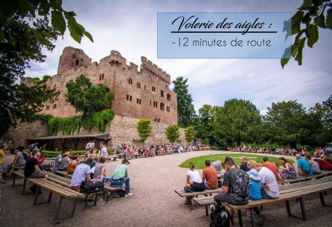 Appart 4 Pers Design Et Cosy Avec Jardin Au Coeur De Sélestat Exteriér fotografie